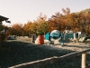 costruzione28