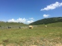 Raduno a Prato Grande 2016 con Ass.ne Amici del Cavallo